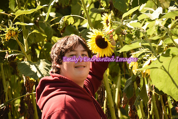 DSC_9452