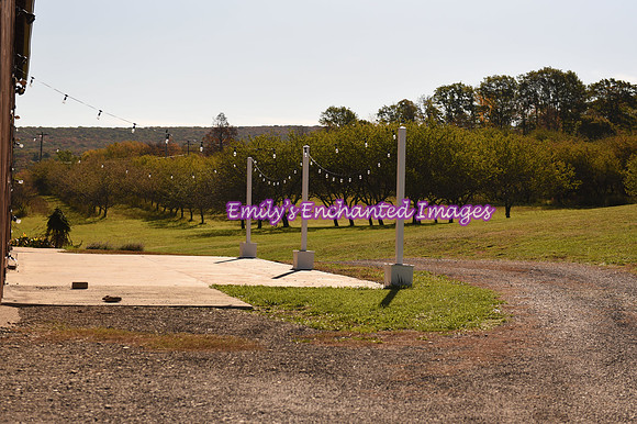 DSC_0971