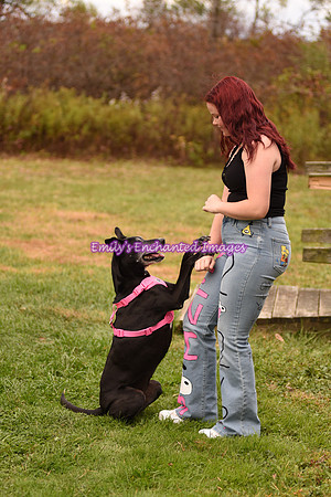 DSC_3978