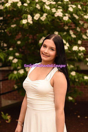 DSC_8706