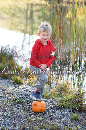DSC_5053