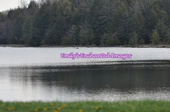 DSC_6841
