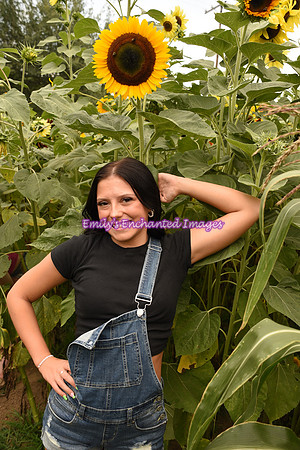 DSC_7421