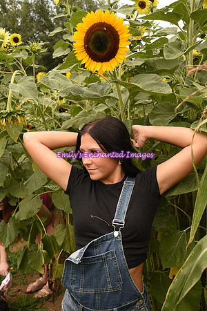 DSC_7418