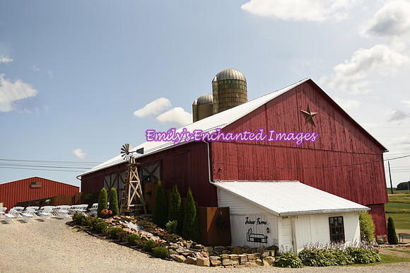 DSC_5420