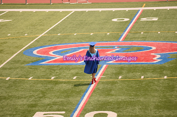 DSC_7317